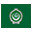 arabic flag